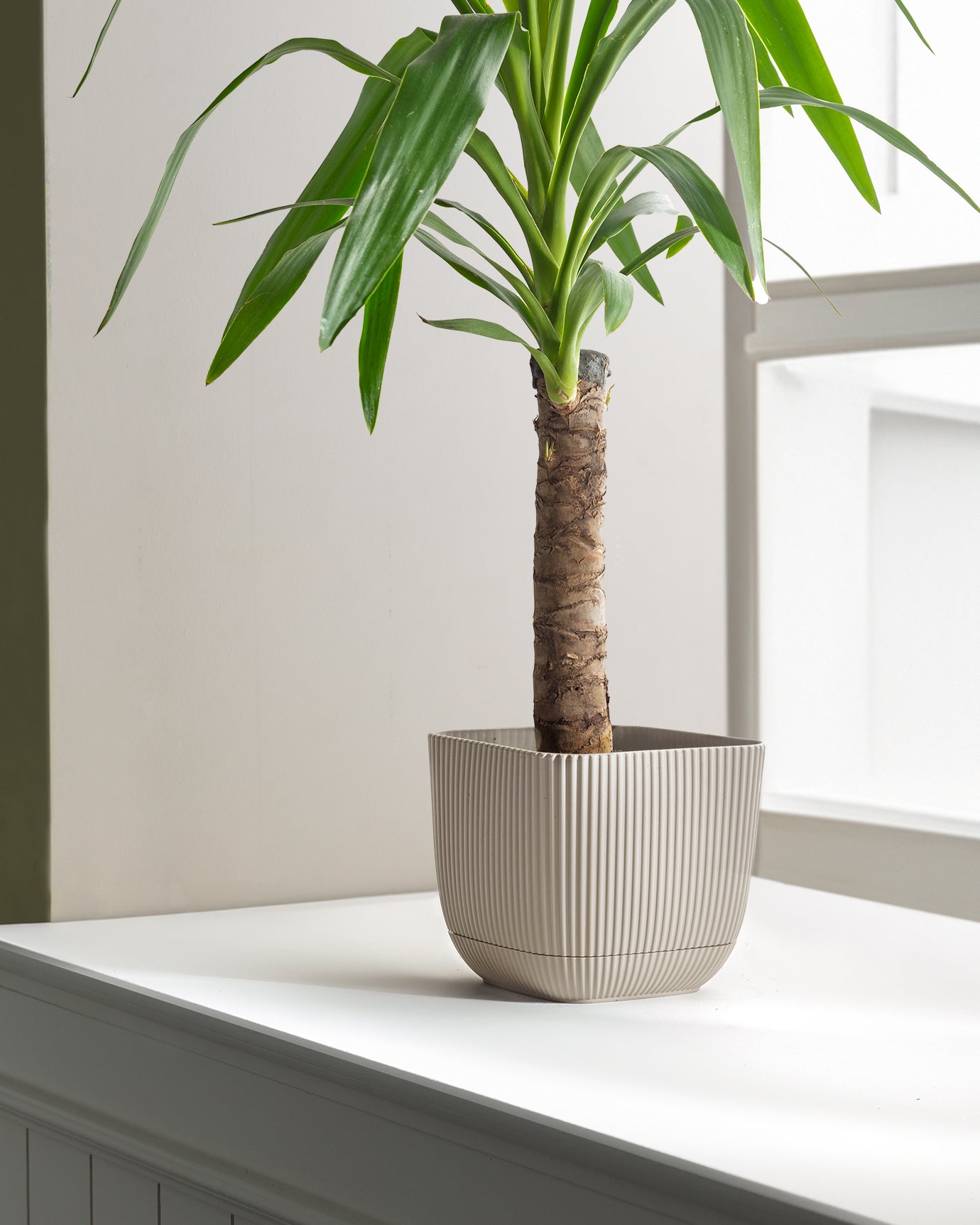 Abella  Flower Pot 1800 Ml - Madame Coco JO