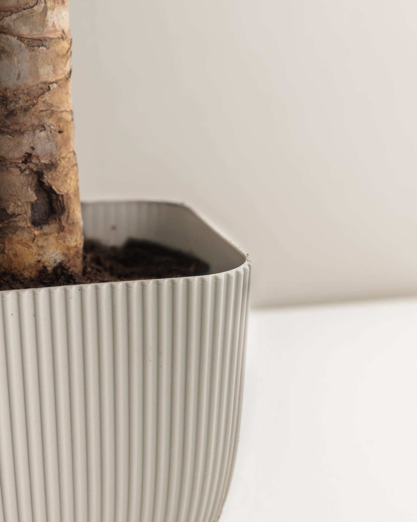 Abella  Flower Pot 1800 Ml - Madame Coco JO