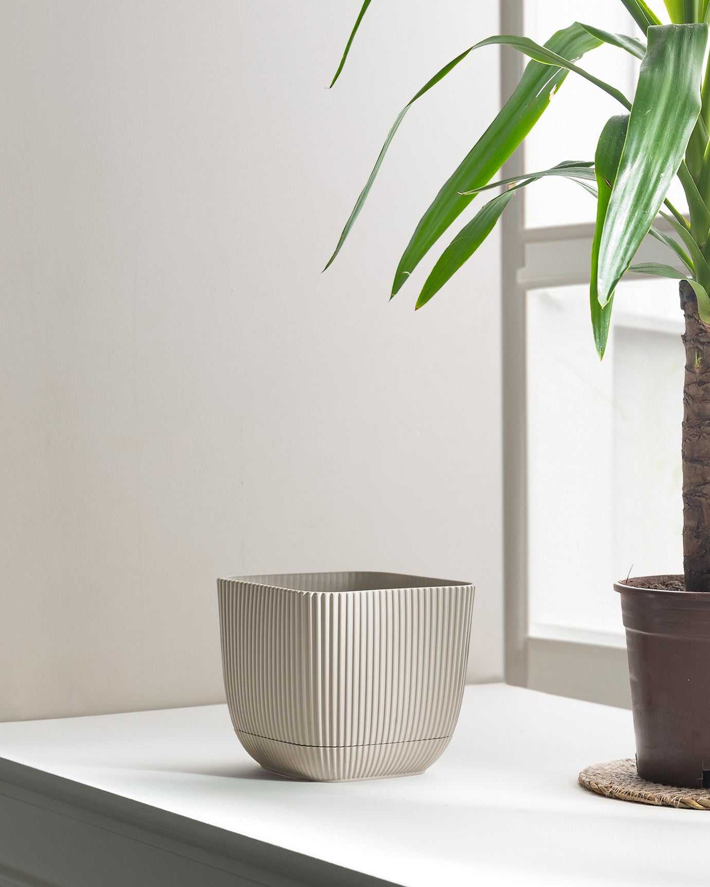 Abella  Flower Pot 1800 Ml - Madame Coco JO