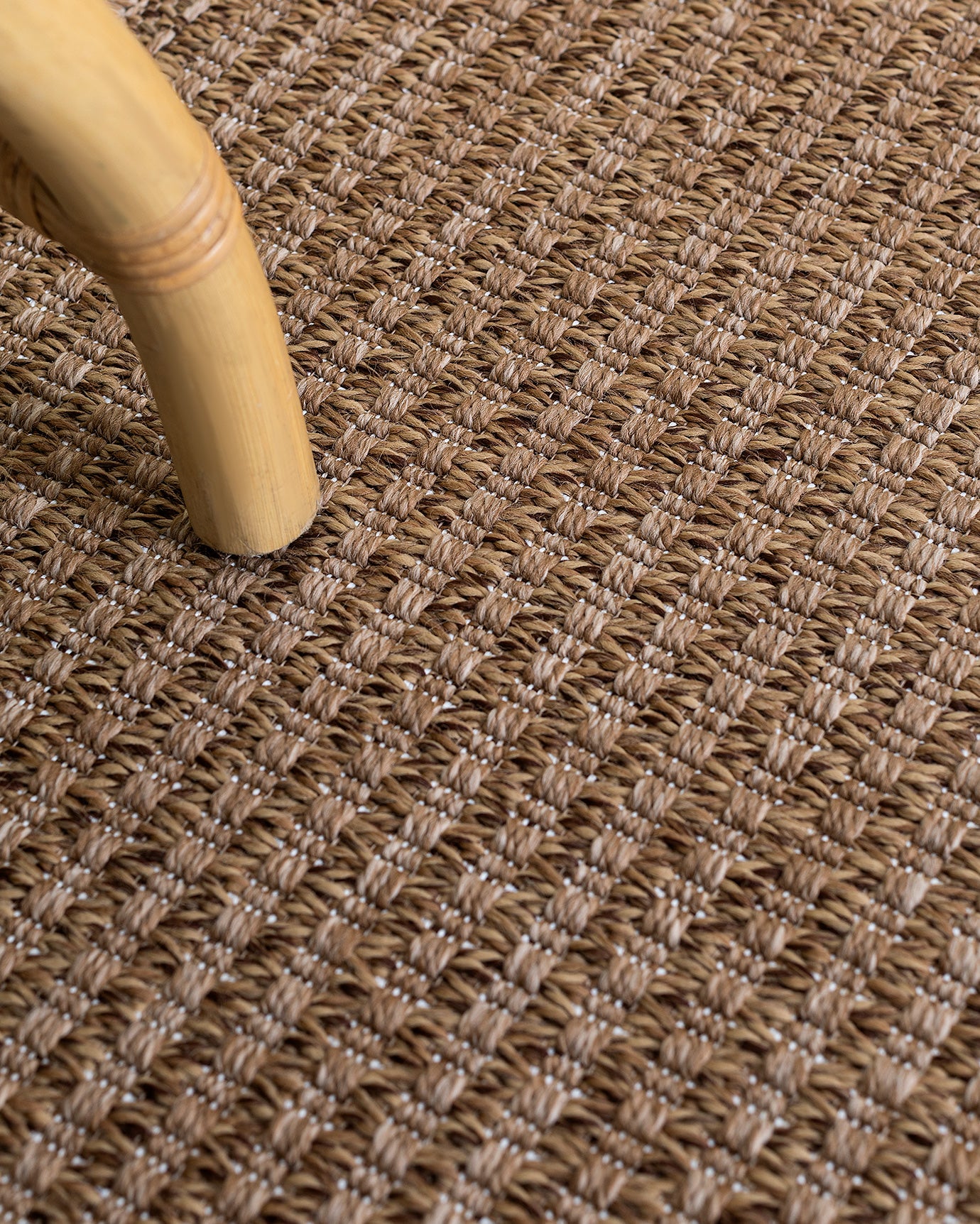 Aorte Carpet - Madame Coco JO
