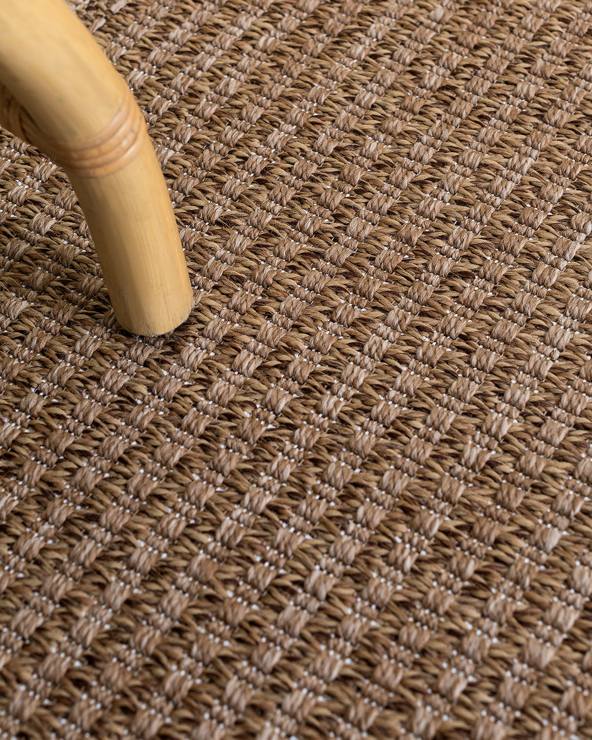 Aorte Carpet - Madame Coco JO