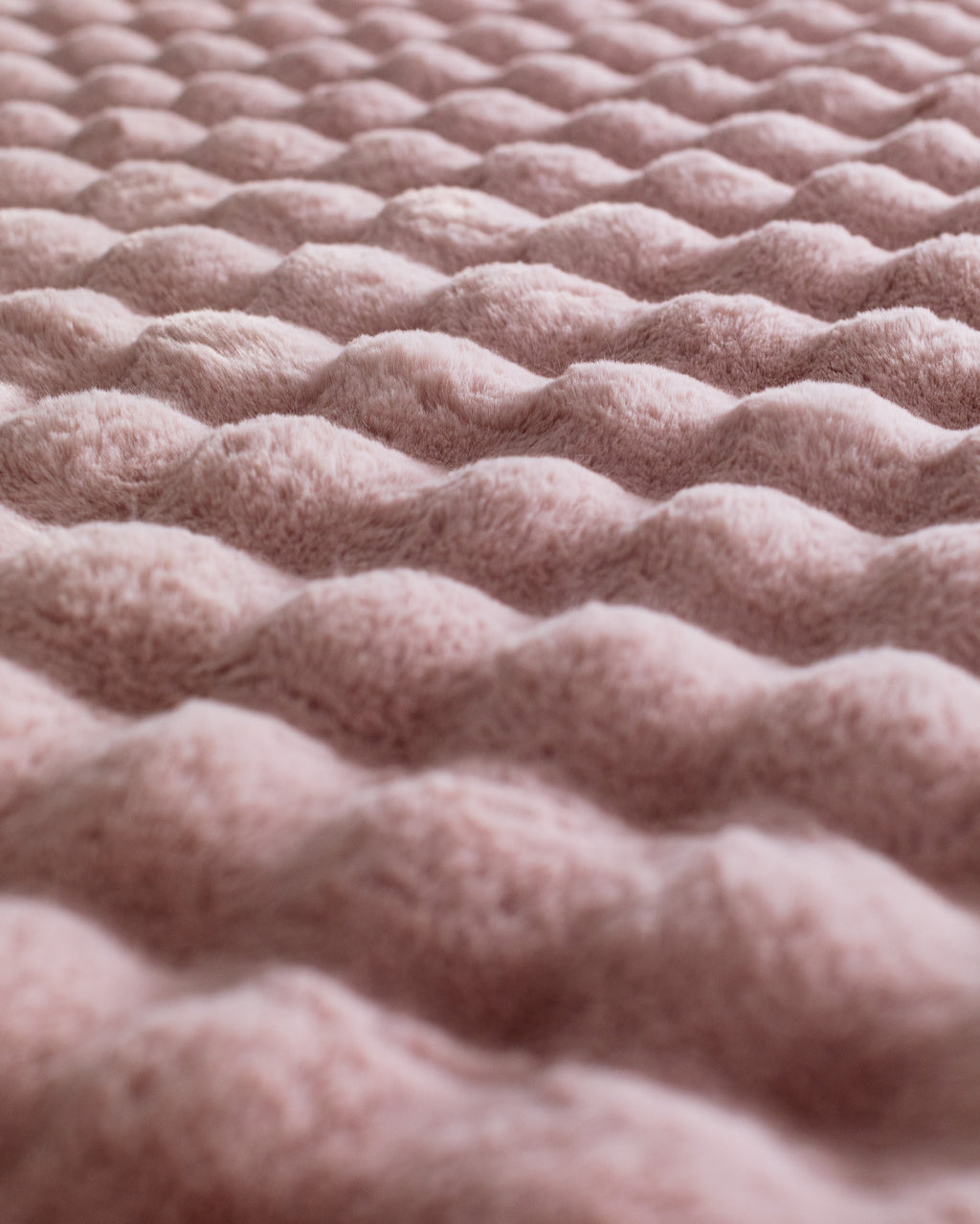 Darcio Plush - Madame Coco JO