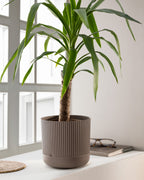 Sanvi Flower Pot 4000 Ml - Madame Coco JO