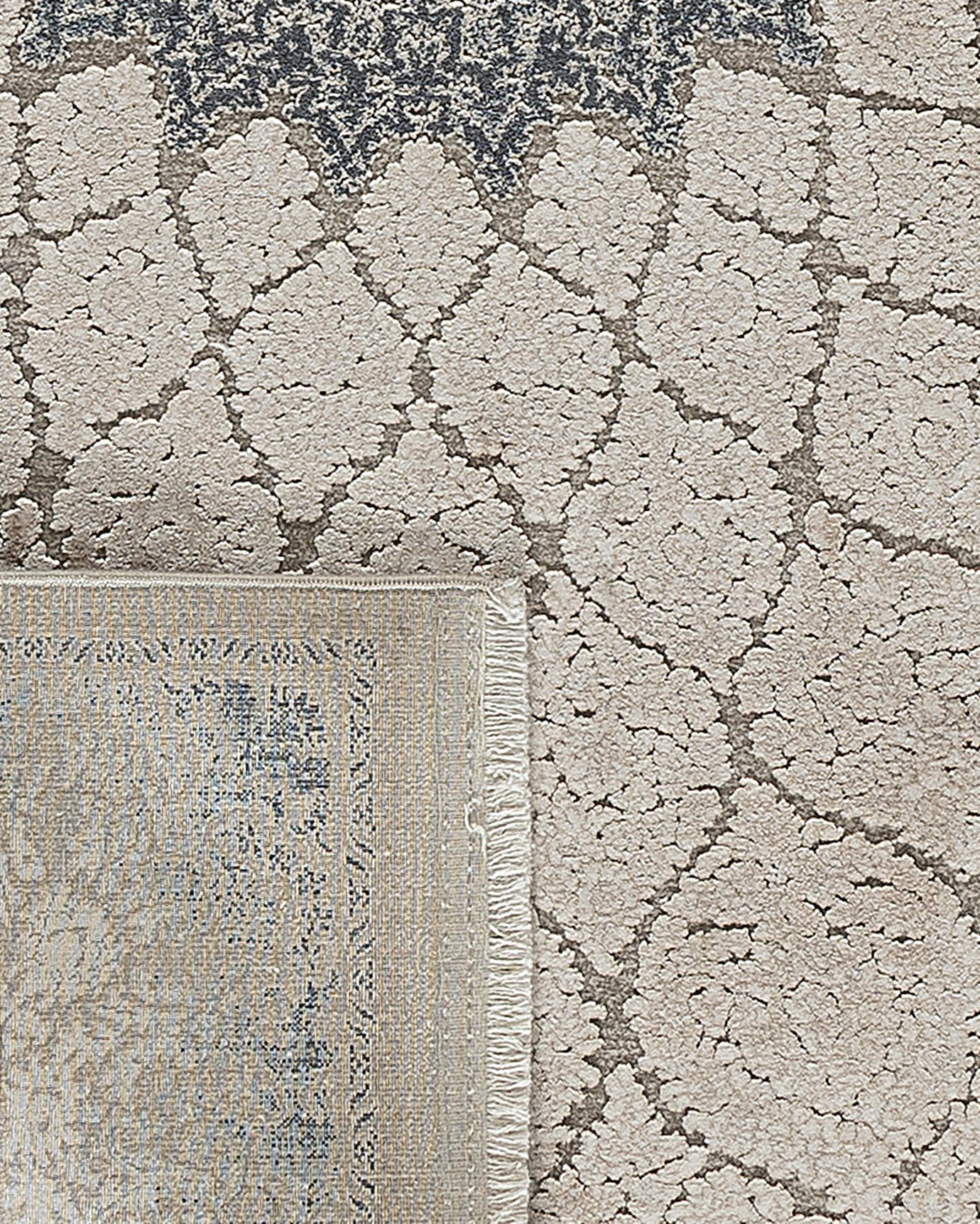 Renier Carpet - Madame Coco JO