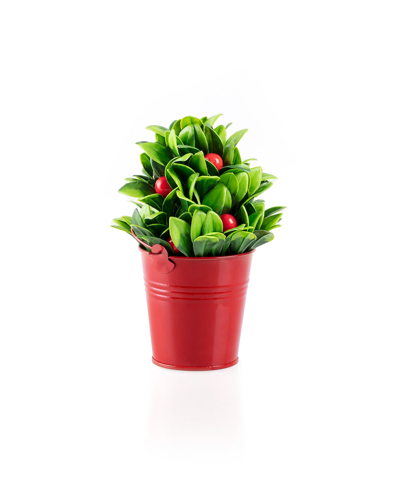 Nathan Potted Flower - Madame Coco JO