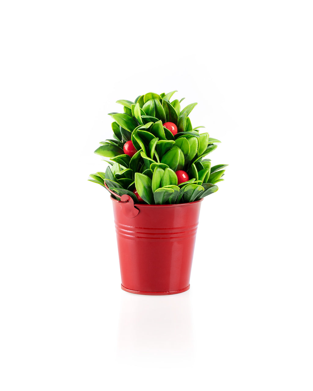 Nathan Potted Flower - Madame Coco JO