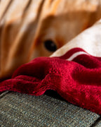 Chiot Printed Wellsoft Blanket - Madame Coco JO