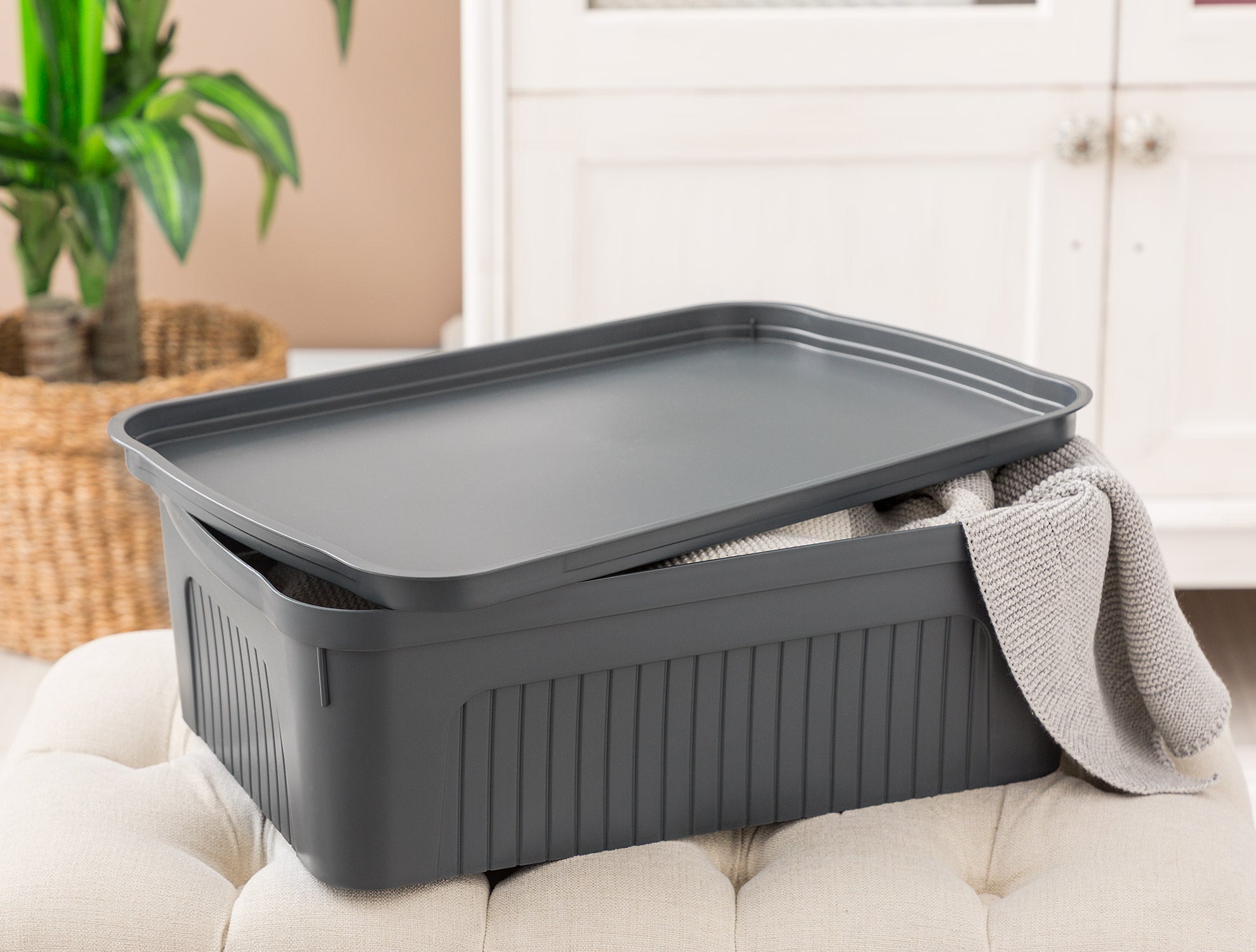 Densy Box With Lid 17 Lt - Madame Coco JO