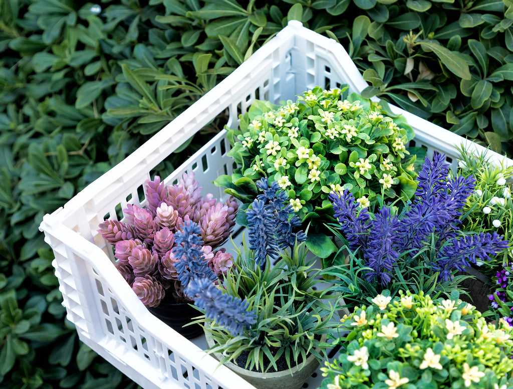 Brett Foldable Basket - Madame Coco JO