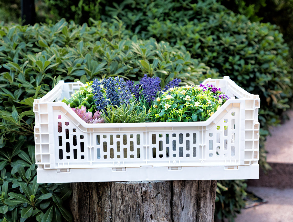 Brett Foldable Basket - Madame Coco JO