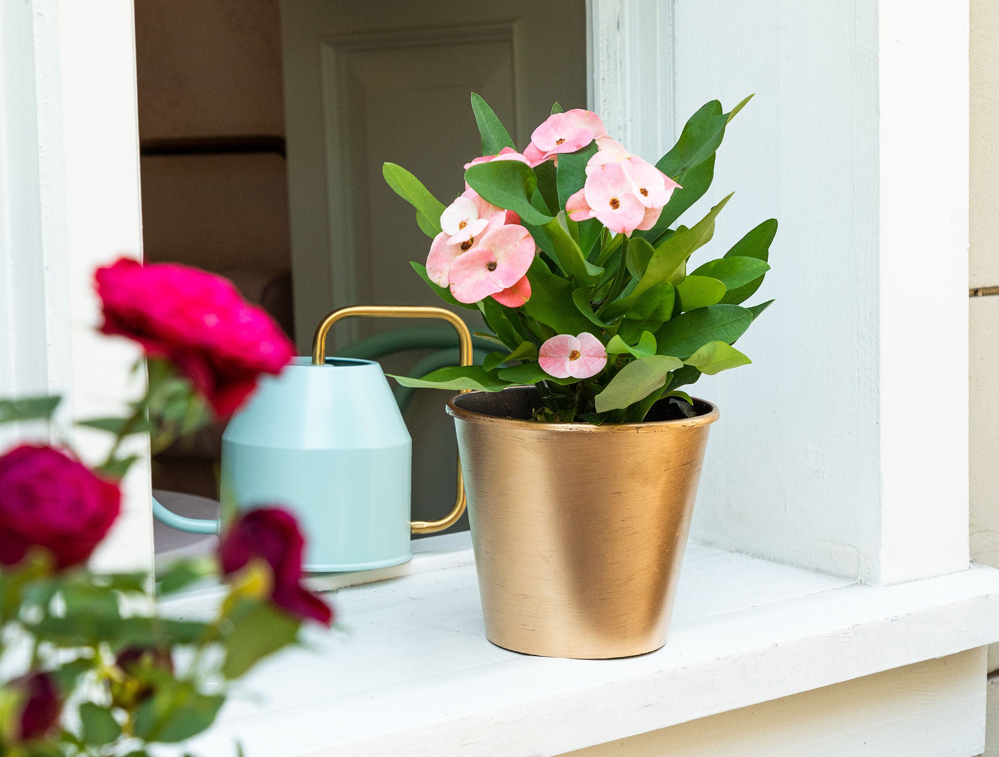 Dior Glitted Flower Pot 1.5 Lt - Madame Coco JO