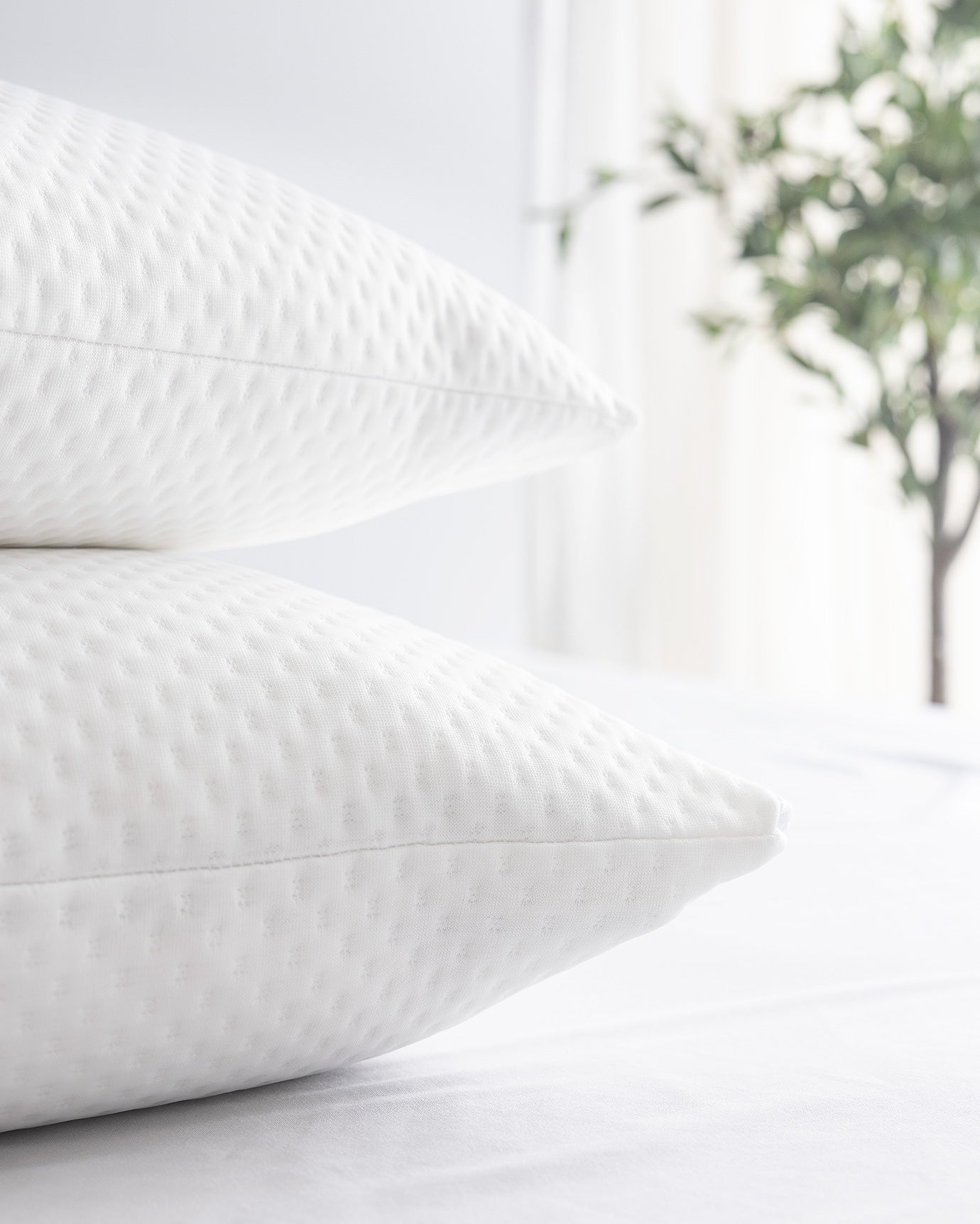 Elicia 2-pack Waterproof Pillow Protector - Madame Coco JO