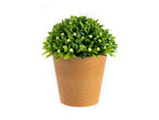 Minette Potted Flower - Madame Coco JO