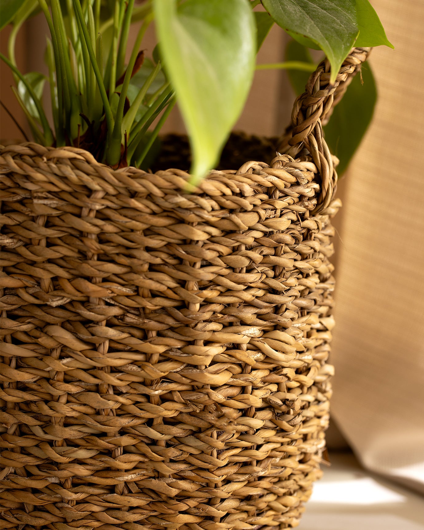 Olivia Wicker Basket 25cm - Madame Coco JO