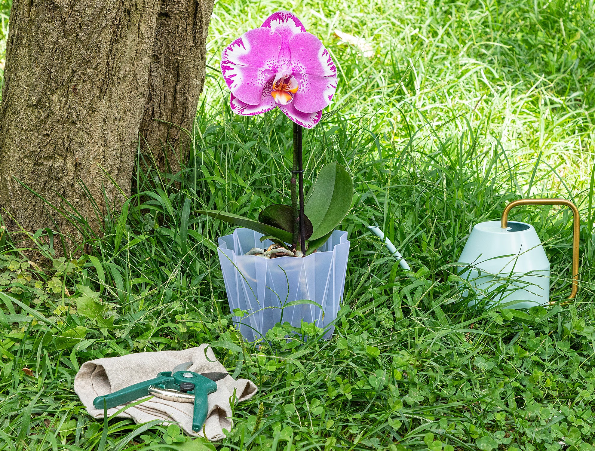 Angulaire Layer Flower Pot 1.5 Lt - Madame Coco JO