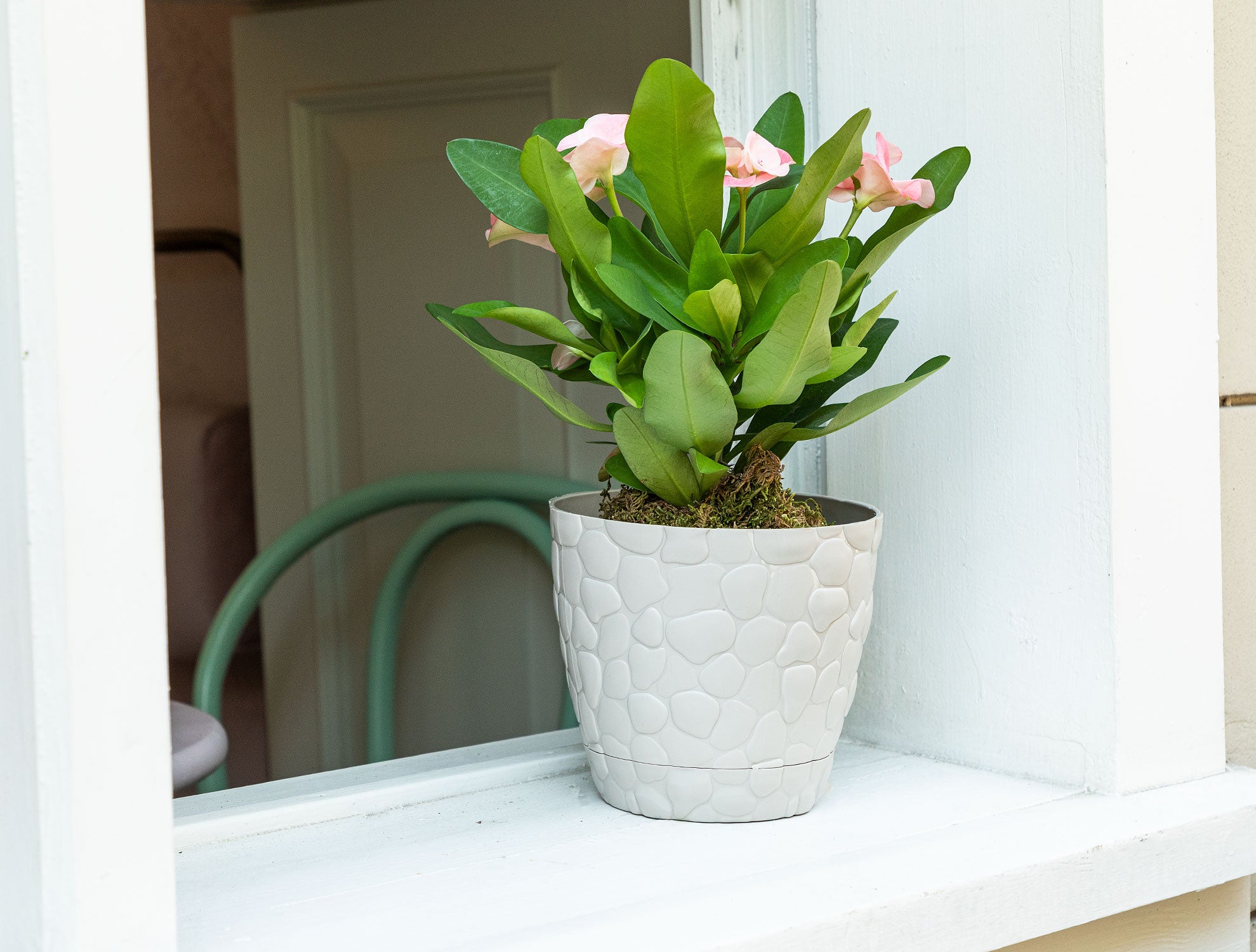 Aveline Stone Flower Pot 1.6 Lt - Madame Coco JO