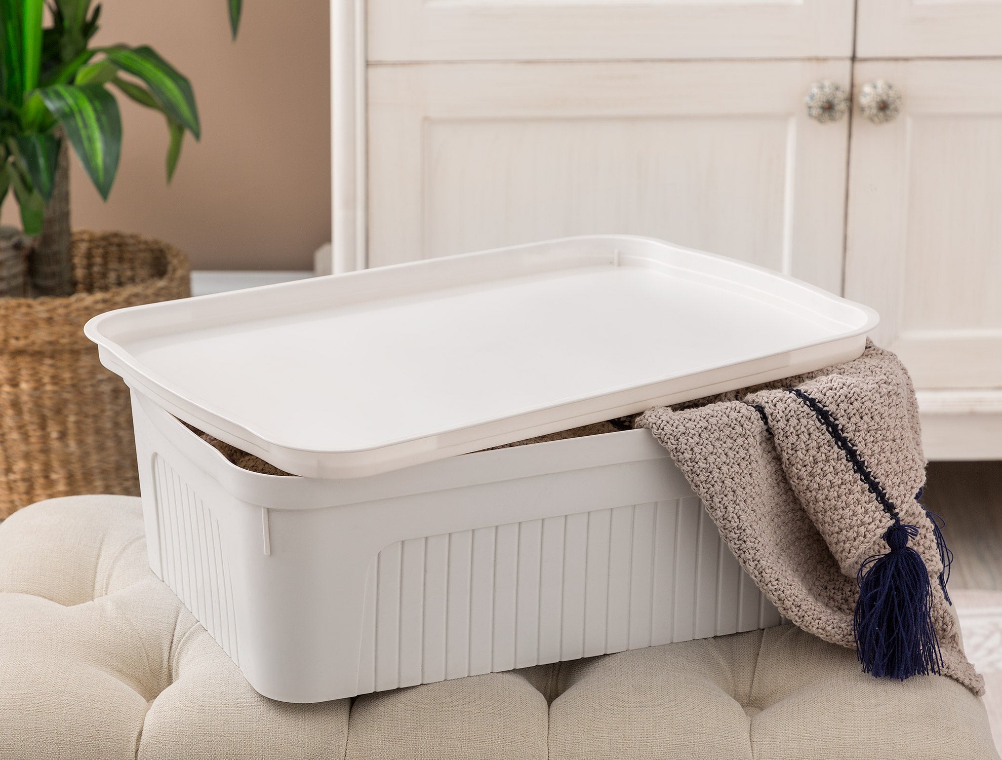 Densy Box With Lid 17 Lt - Madame Coco JO