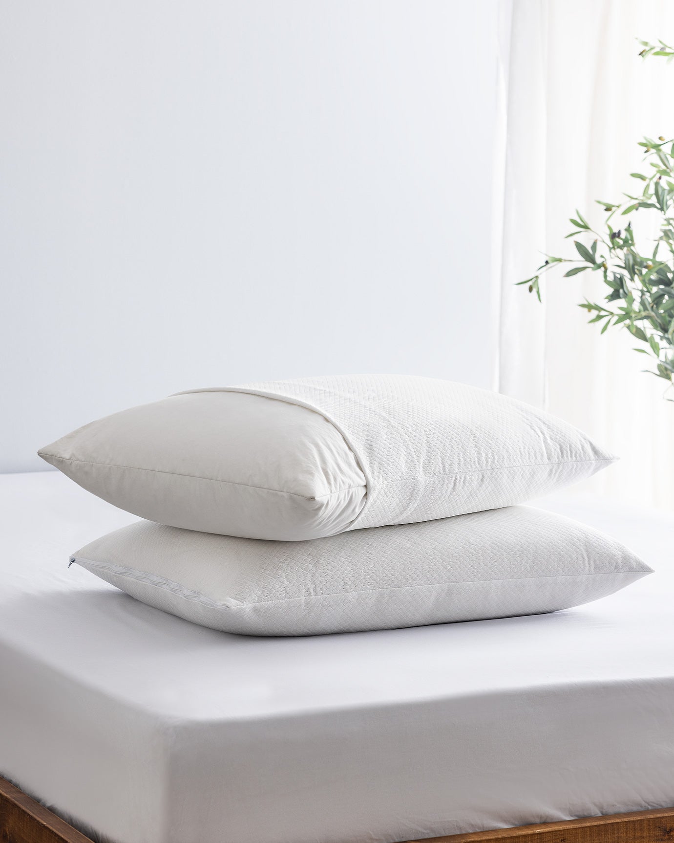Blanch 2-pack Waterproof Pillow Protector - Madame Coco JO