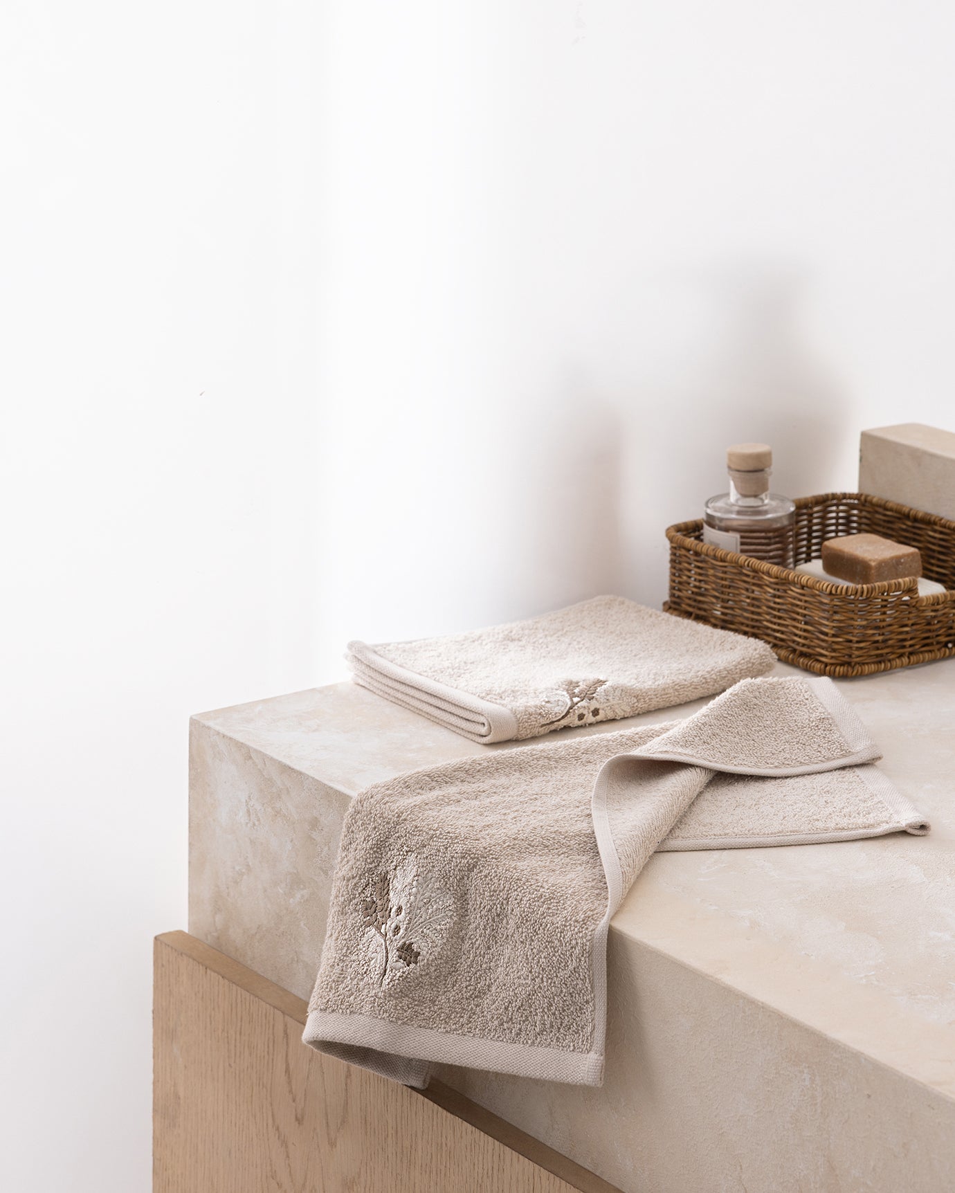 Selmor Embroidered Set Of 2 Hand Towels - Madame Coco JO