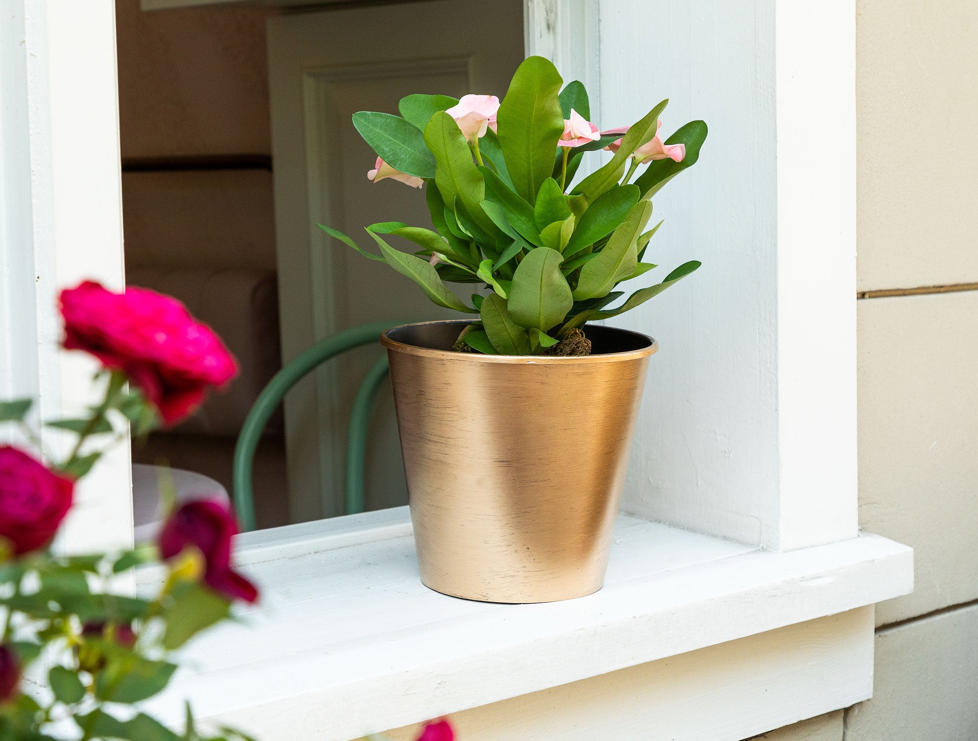 Dior Glitted Flower Pot 2.5 Lt - Madame Coco JO