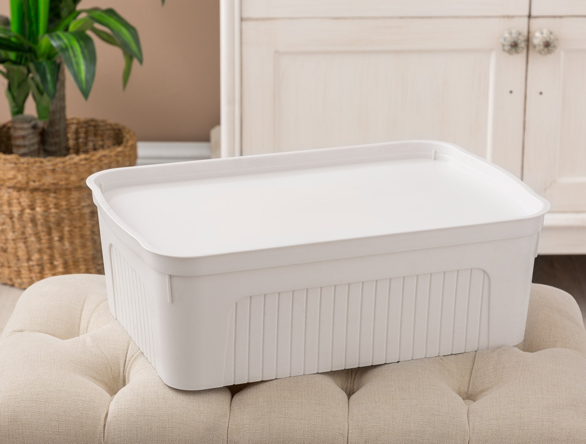 Densy Box With Lid 17 Lt - Madame Coco JO