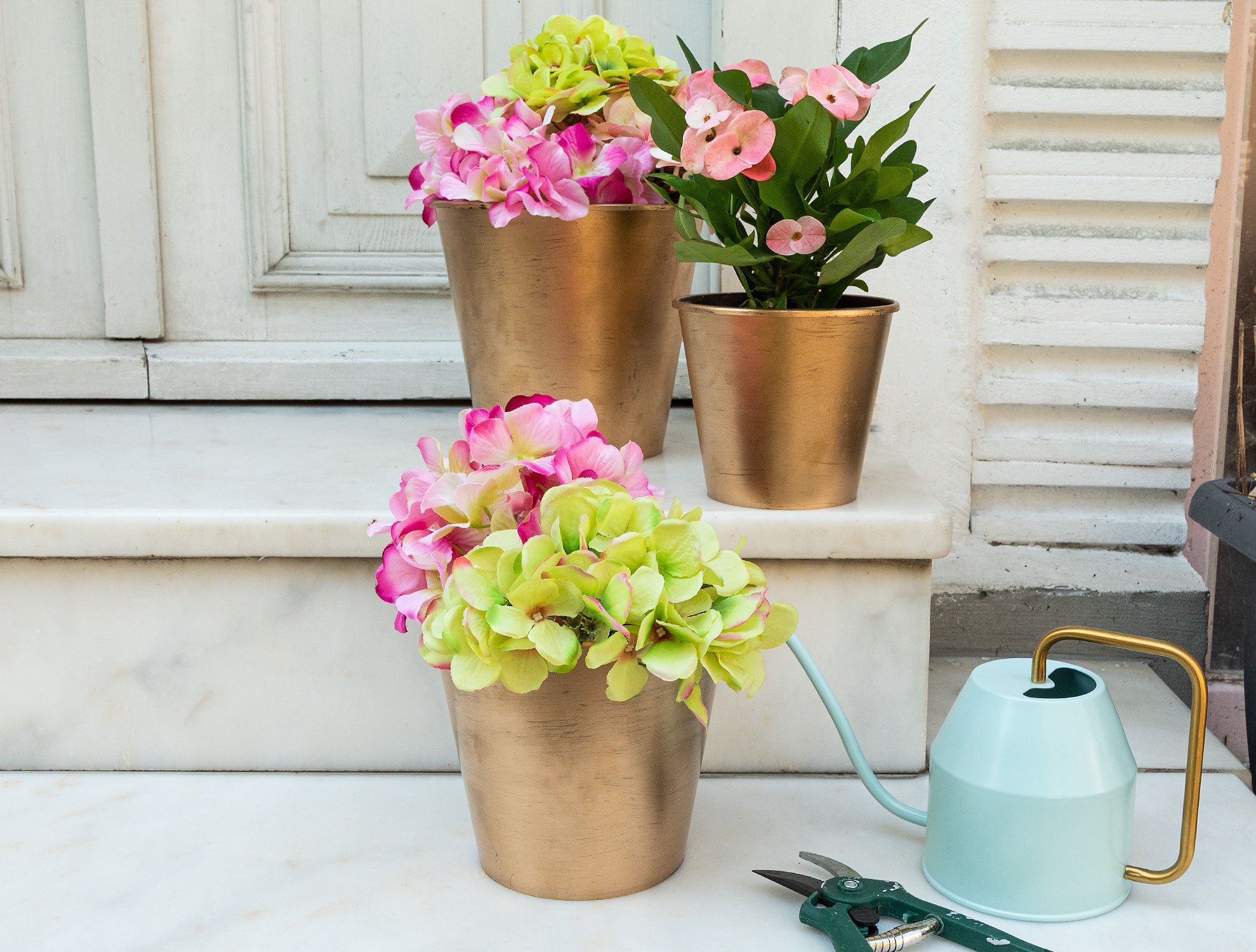 Dior Glitted Flower Pot 1.5 Lt - Madame Coco JO