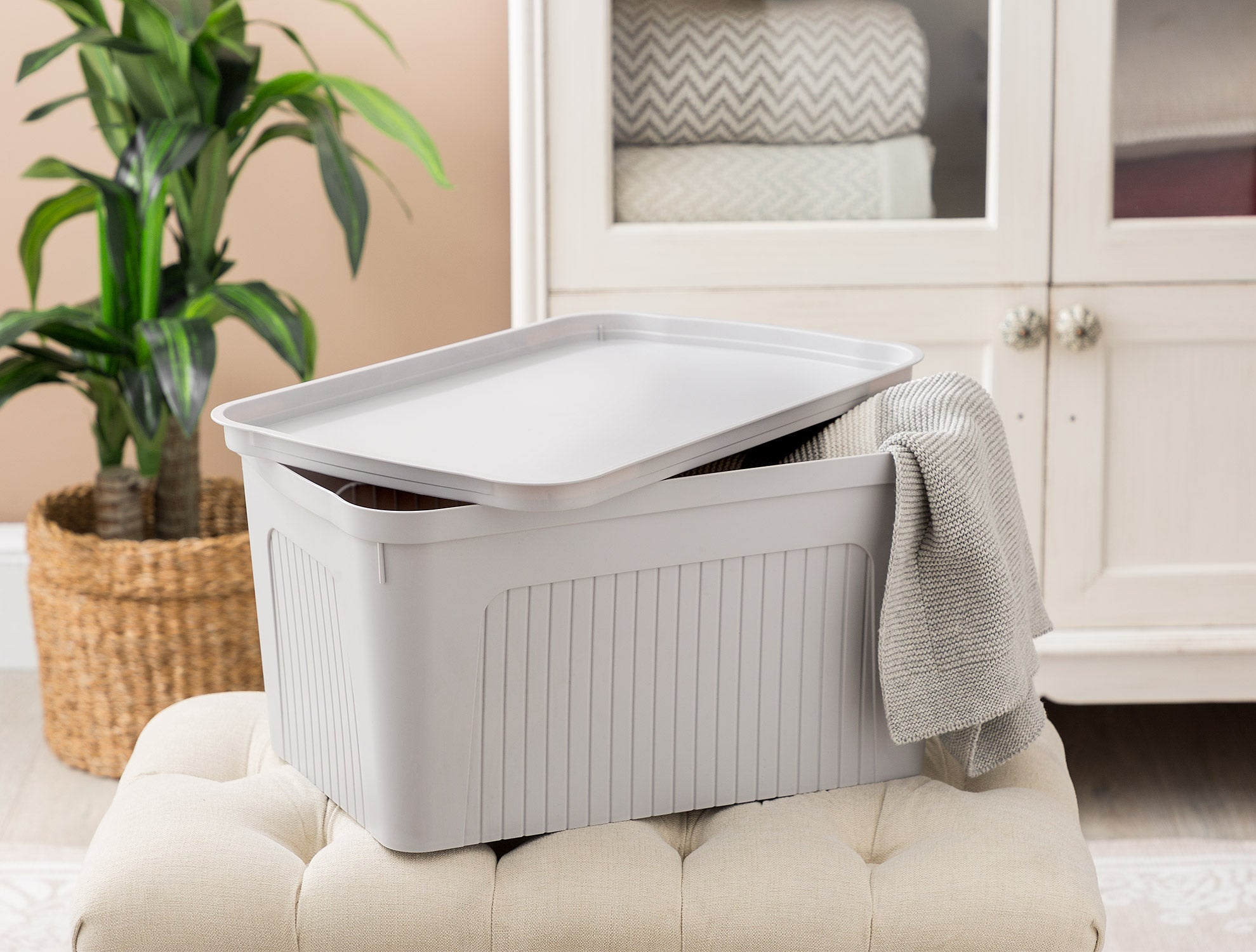 Densy Box With Lid 27 Lt - Madame Coco JO