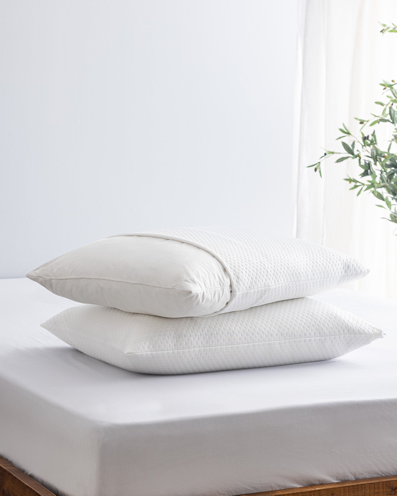 Elicia 2-pack Waterproof Pillow Protector - Madame Coco JO