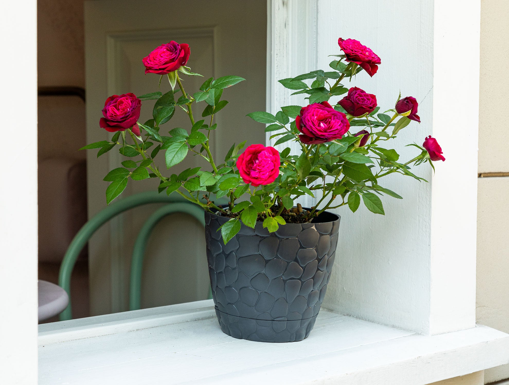 Aveline Stone Flower Pot 1.6 Lt - Madame Coco JO