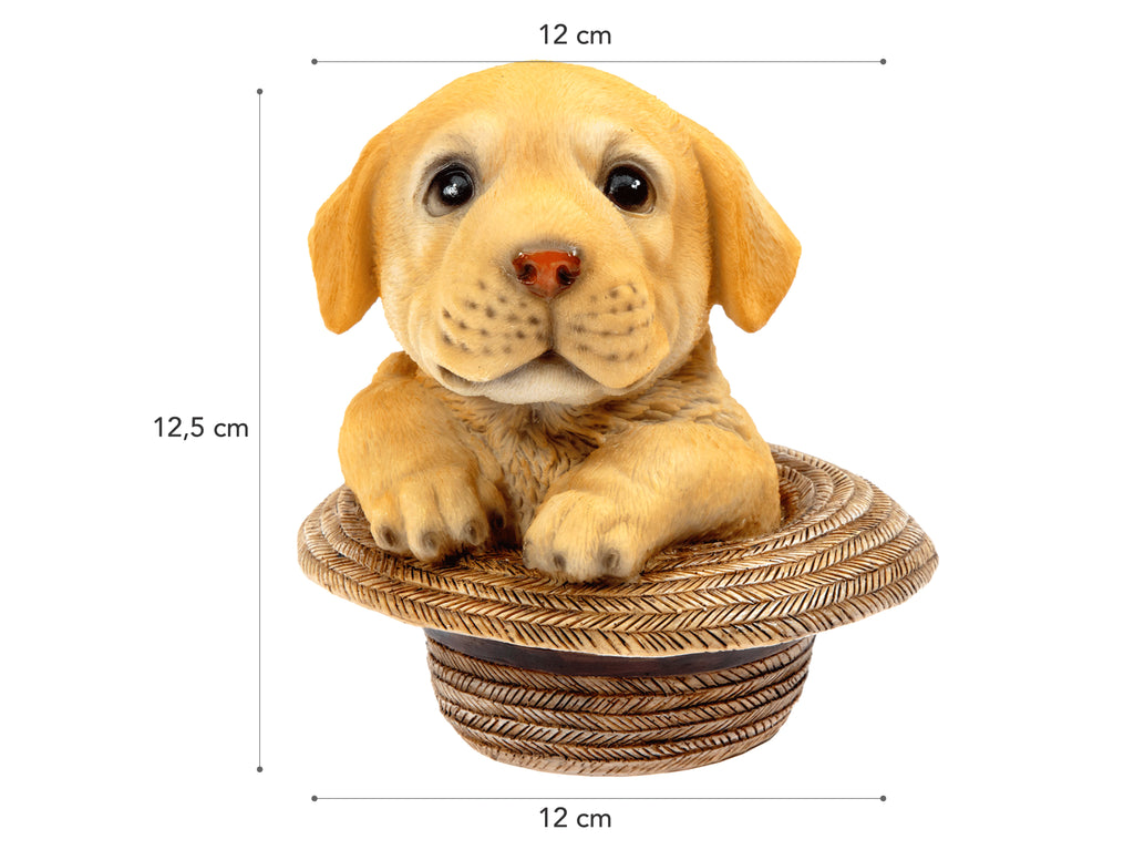 Andreline Trinket - Madame Coco JO