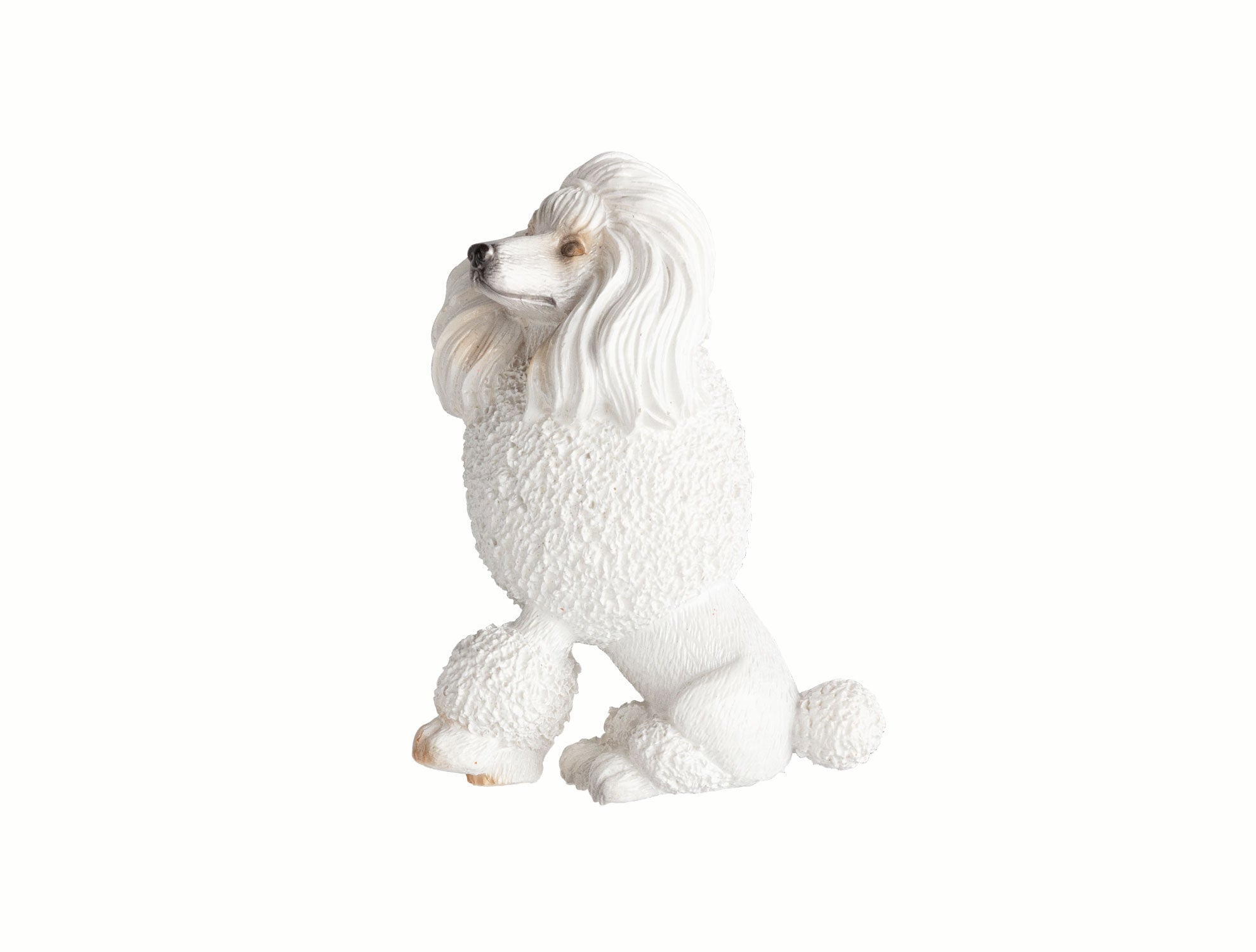 Magnet - Dog - Madame Coco JO