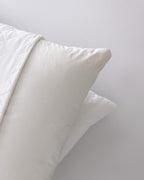 Crispy 2-pack Cotton Quilted Pillow Protector - Madame Coco JO