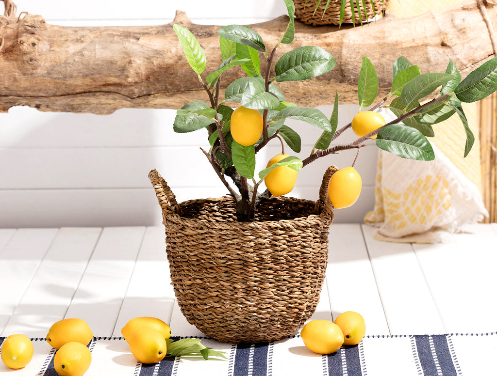 Dorise Medium Wicker Basket - Madame Coco JO