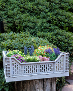 Brett Foldable Basket - Madame Coco JO