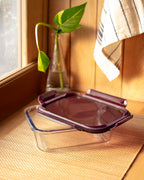 Modena Rectangle Borosilicate Glass Storage Container With Lid - 1ml - Madame Coco JO