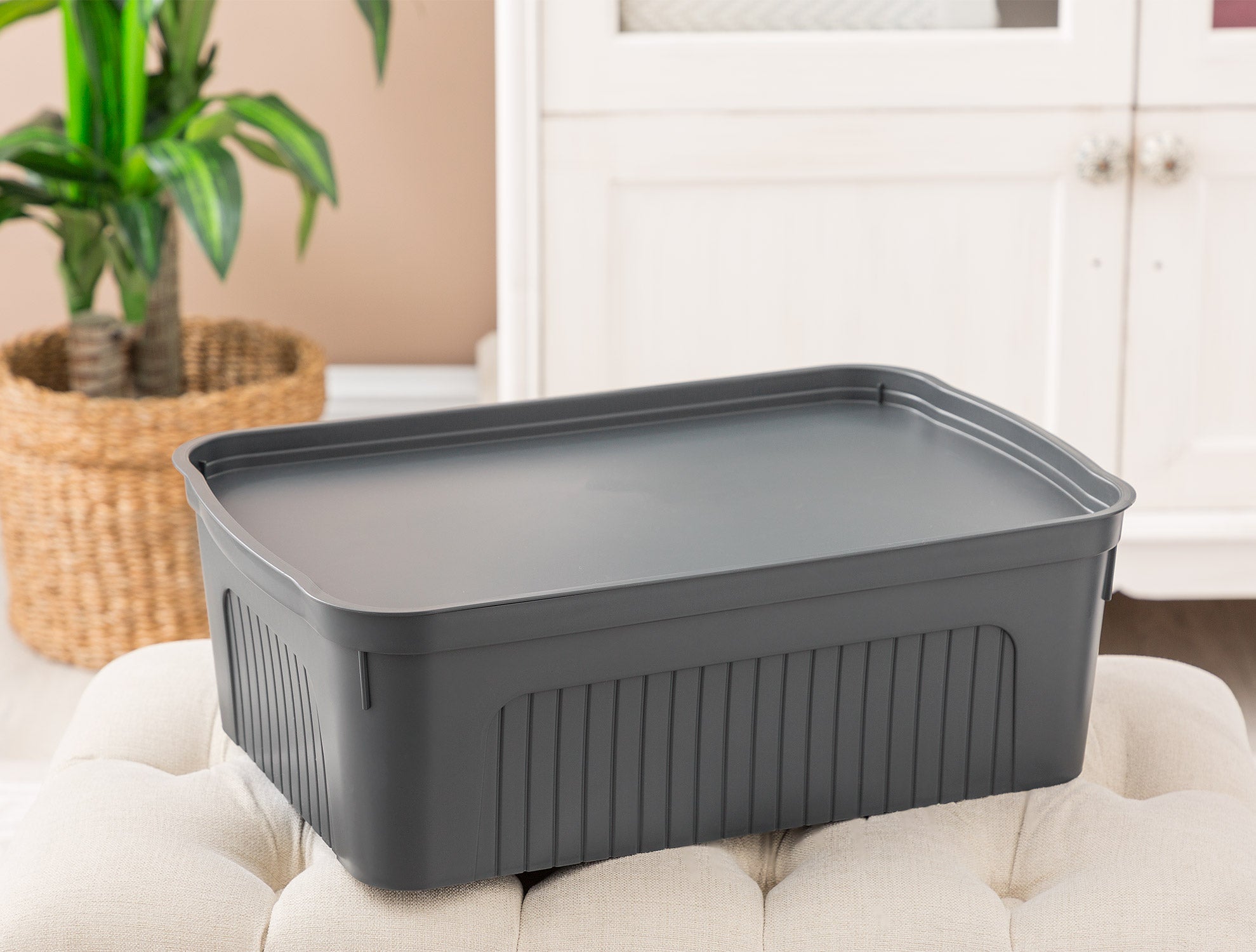Densy Box With Lid 17 Lt - Madame Coco JO