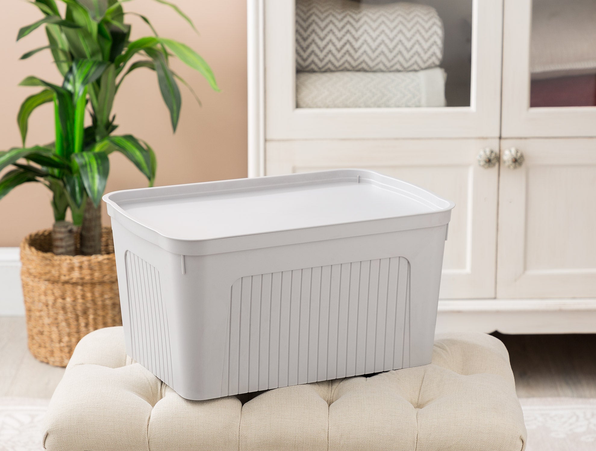 Densy Box With Lid 27 Lt - Madame Coco JO