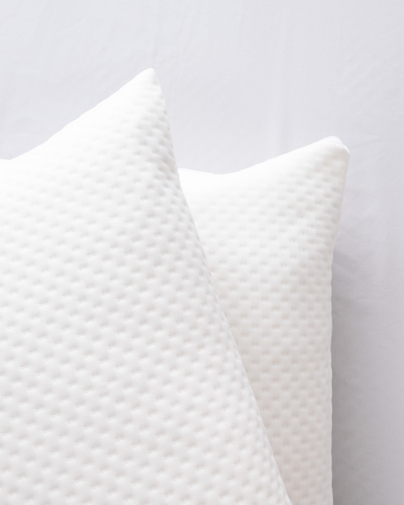 Elicia 2-pack Waterproof Pillow Protector - Madame Coco JO