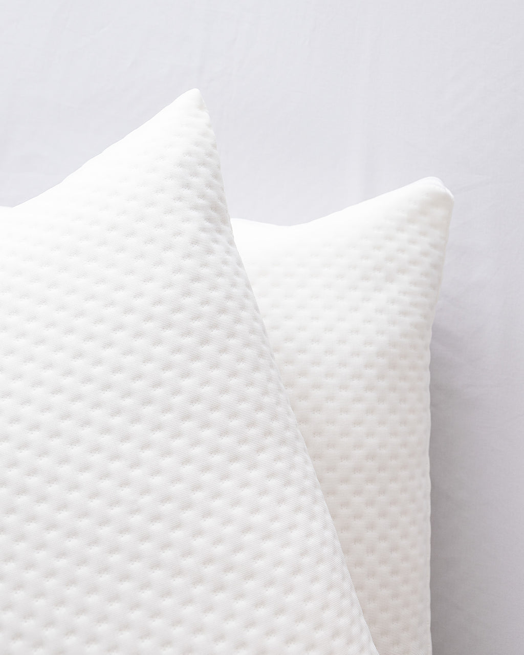 Elicia 2-pack Waterproof Pillow Protector - Madame Coco JO