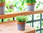 EMILO POT
